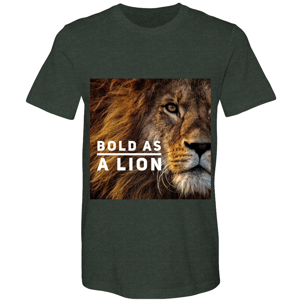 Bold as a Lion Bella Canvas Airlume combed and Ringspun cotton T-shirts - DreamWeaversStore