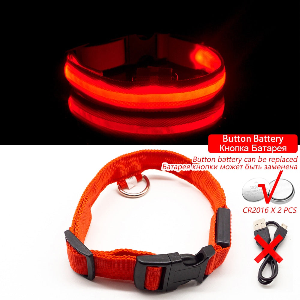 USB Charging Led Dog Collar - DreamWeaversStore