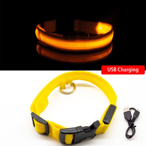 USB Charging Led Dog Collar - DreamWeaversStore