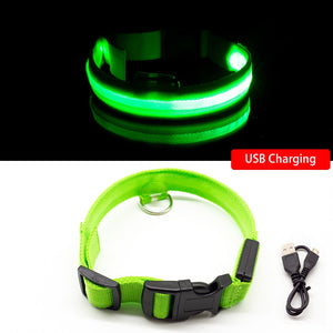 USB Charging Led Dog Collar - DreamWeaversStore