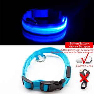 USB Charging Led Dog Collar - DreamWeaversStore