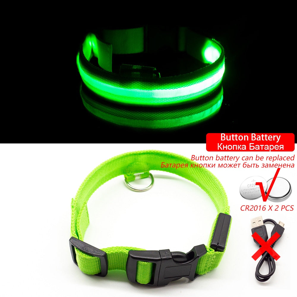 USB Charging Led Dog Collar - DreamWeaversStore