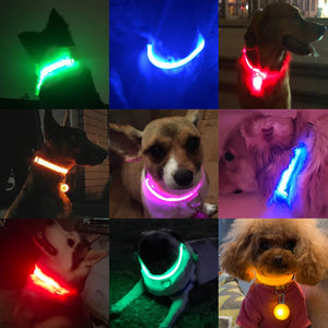 USB Charging Led Dog Collar - DreamWeaversStore