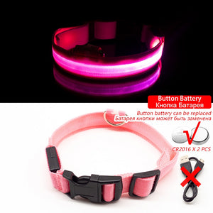 USB Charging Led Dog Collar - DreamWeaversStore