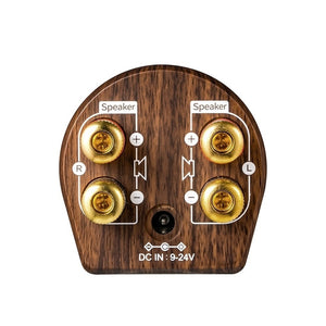 Mini Wooden Design HiFi  Bluetooth 5.0 Power Class D Amplifier Tpa3116 Digital Amp  50W*2 Home Audio Car Marine USB/AUX IN - DreamWeaversStore