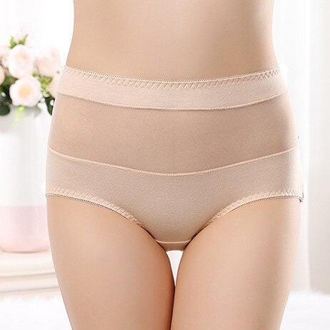 Seamless panties cotton Women&#39;s underwear transparent sexy charming elastic plus size high quality lingerie briefs 40-110kg - DreamWeaversStore