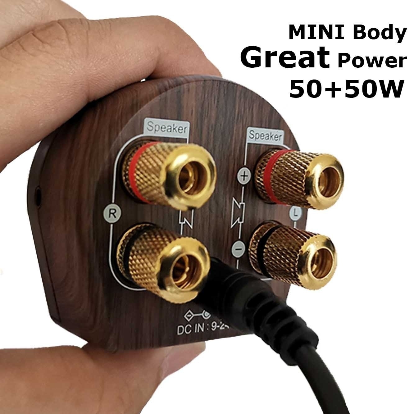 Mini Wooden Design HiFi  Bluetooth 5.0 Power Class D Amplifier Tpa3116 Digital Amp  50W*2 Home Audio Car Marine USB/AUX IN - DreamWeaversStore