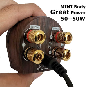 Mini Wooden Design HiFi  Bluetooth 5.0 Power Class D Amplifier Tpa3116 Digital Amp  50W*2 Home Audio Car Marine USB/AUX IN - DreamWeaversStore