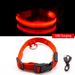 USB Charging Led Dog Collar - DreamWeaversStore