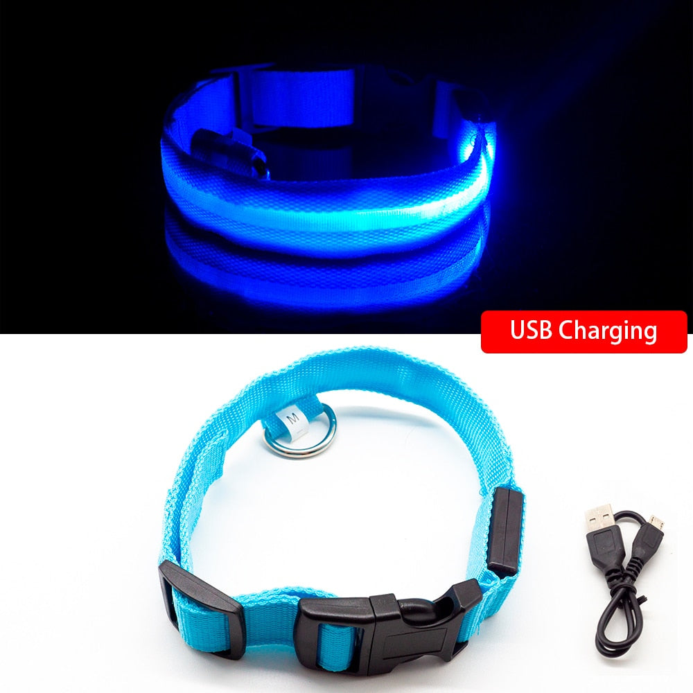 USB Charging Led Dog Collar - DreamWeaversStore