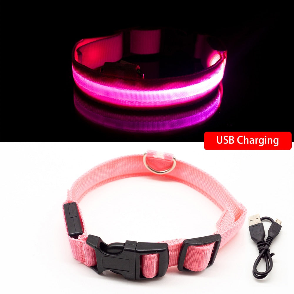 USB Charging Led Dog Collar - DreamWeaversStore