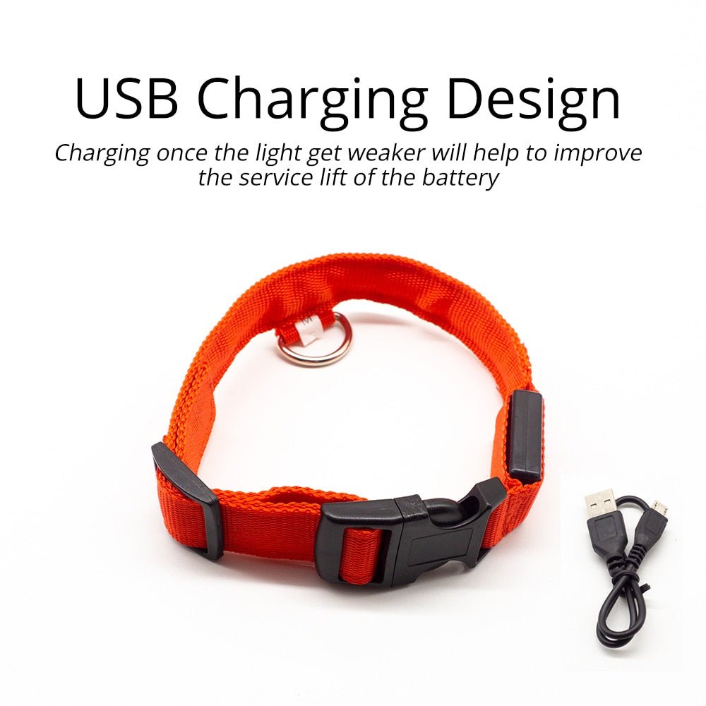 USB Charging Led Dog Collar - DreamWeaversStore