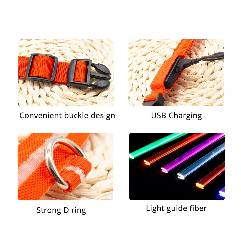 USB Charging Led Dog Collar - DreamWeaversStore