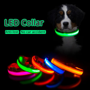 USB Charging Led Dog Collar - DreamWeaversStore